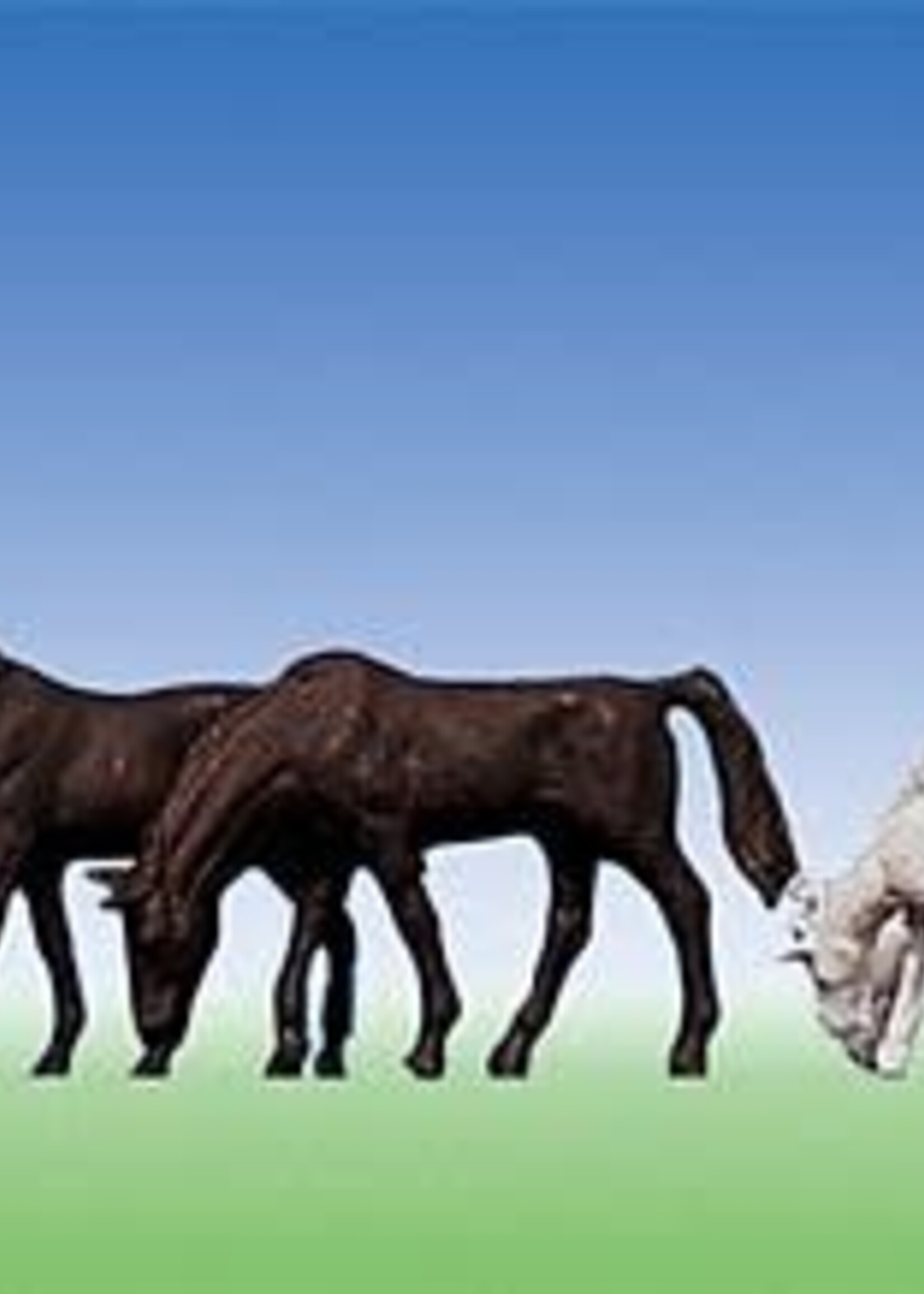 FALLER FALLER 155501 1/160 Paarden (uitloop)