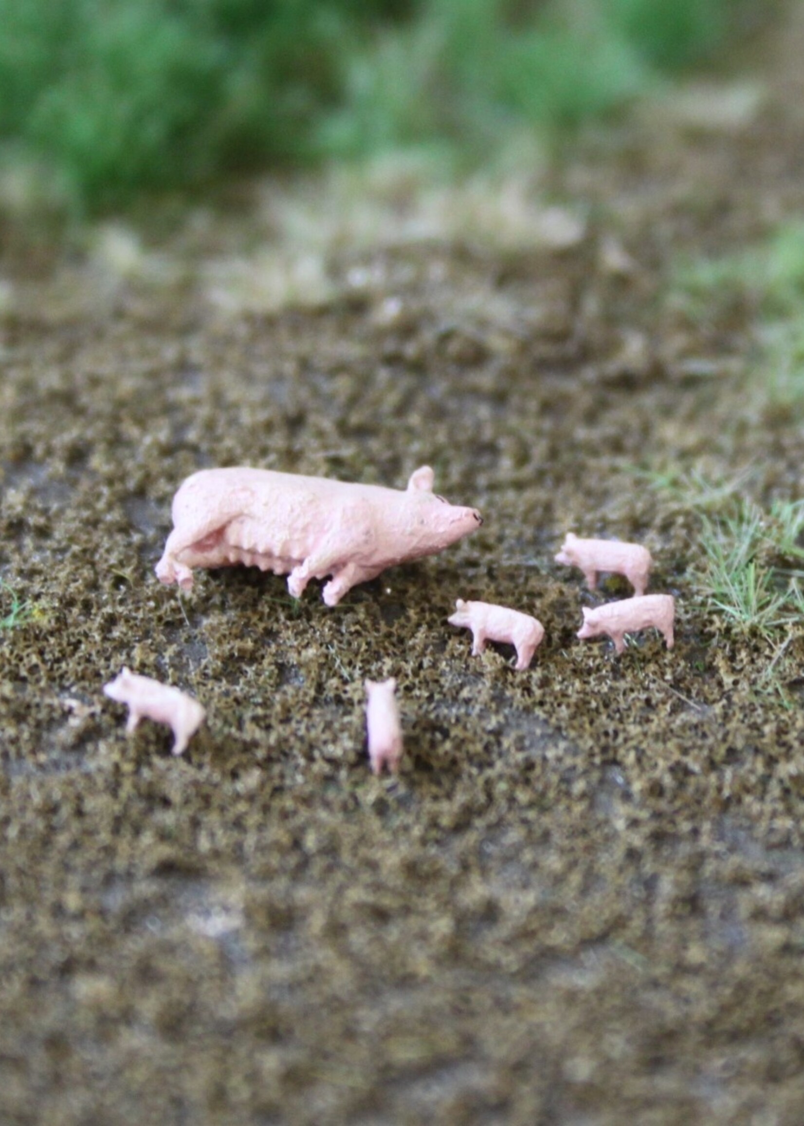 Van Petegem Scenery Van Petegem Scenery NK13 Zeug met biggen  Schaal N