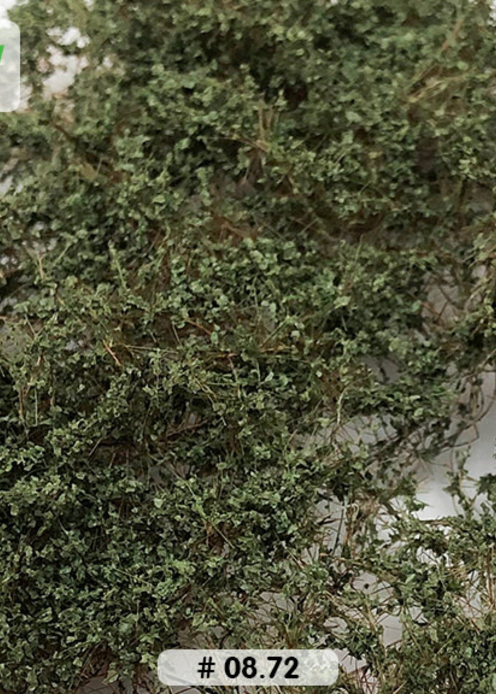 Lars op 't Hof Scenery 08.72 Doornstruiken - olijfgroen 15 x 21 cm