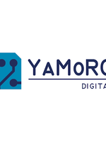 DTS Workshop YaMoRC - 6 november 2024