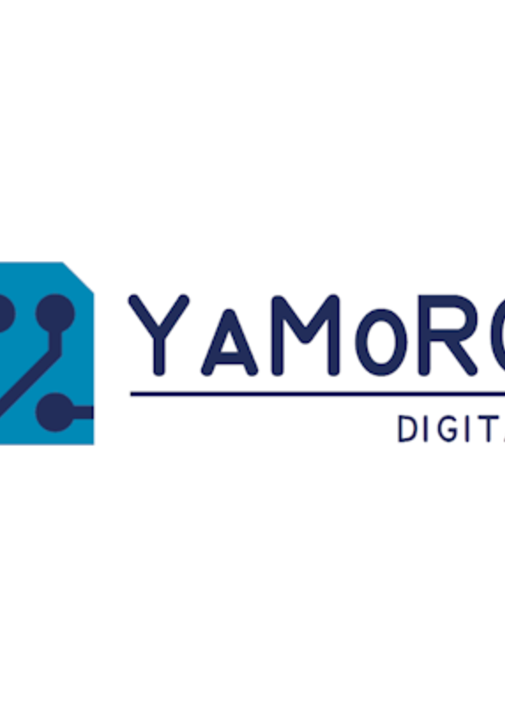 DTS Workshop YaMoRC - 27 november 2024