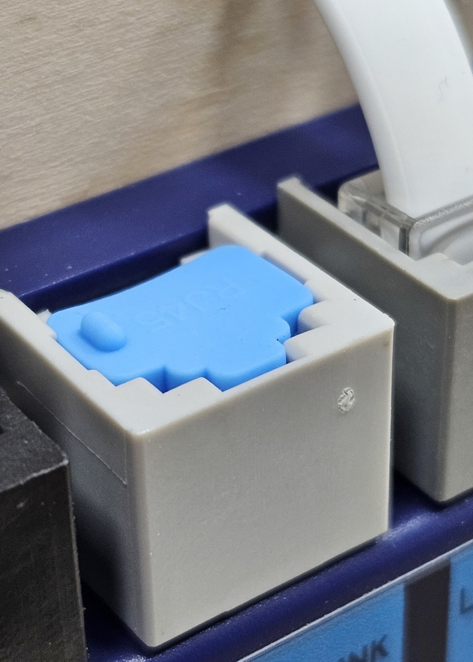 DTS DTS RJ45 Staubschutzkappe