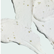 Image Skincare Iluma Intense Brightening Exfoliating Cleanser Image Skincare Iluma Intense Brightening Exfoliating Cleanser