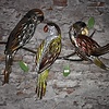 Metalen wand decoratie papagaaien