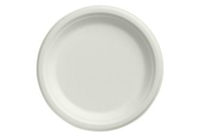 Wegwerp suikerriet borden rond formaat 180 mm