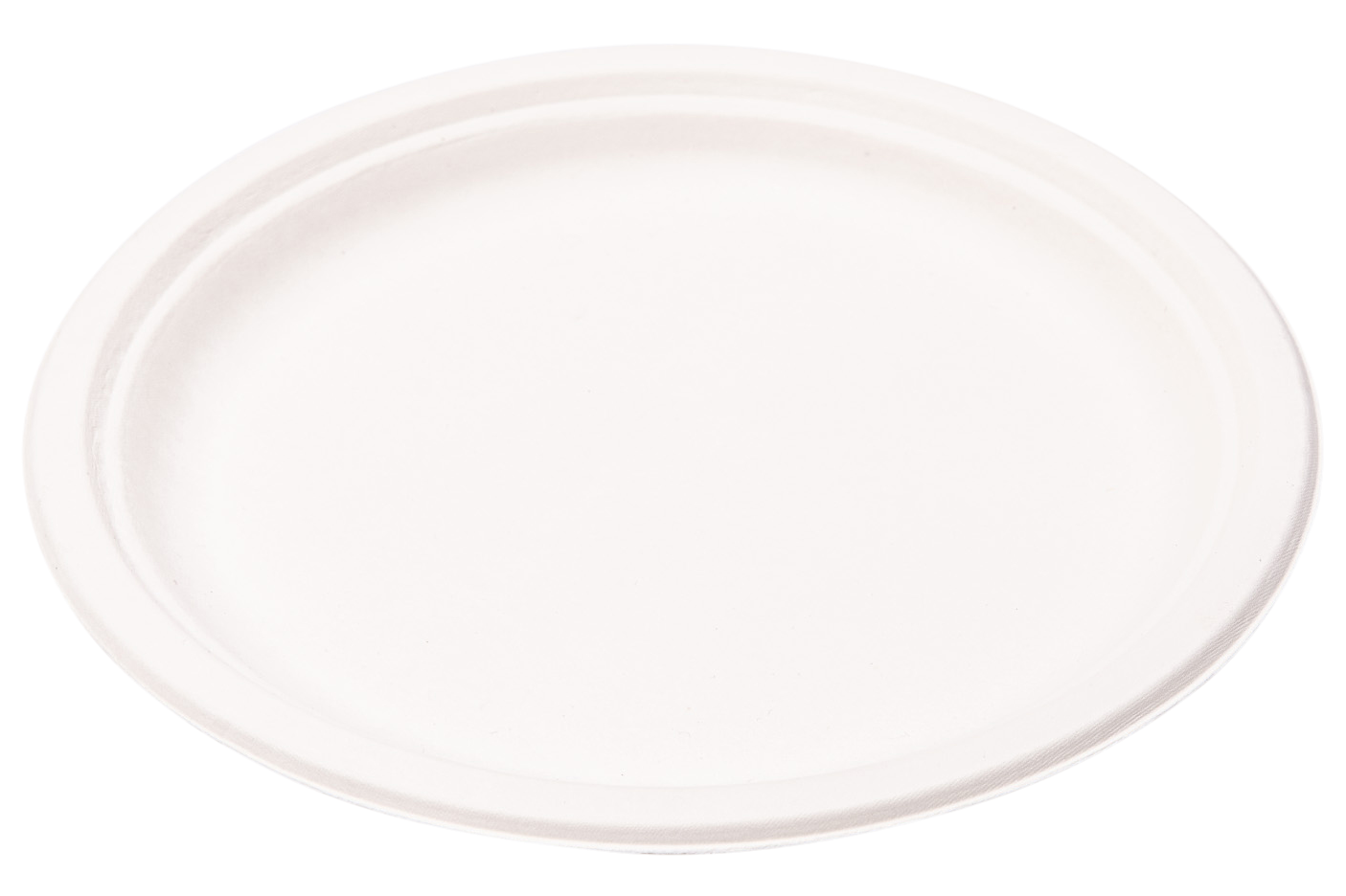 Wegwerp borden suikerriet rond formaat 260 mm