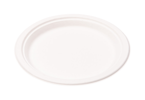 Plates of cane sugar round white format 230 mm