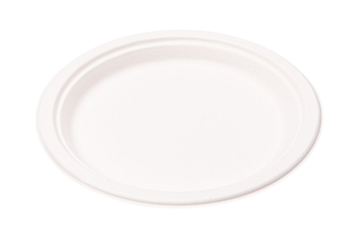 Wegwerp borden suikerriet rond formaat 230 mm