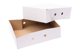 Ready-to-use box 700 grams white with a white bottom and a lid  format  390 x 290 x 120 mm