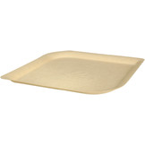 Sugarcane plates square flat various sizes