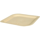 Sugarcane plates square flat various sizes
