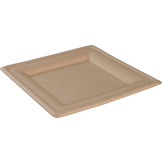 Sugarcane plates square flat various sizes