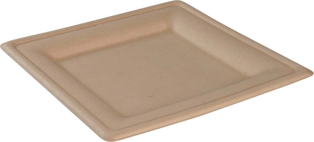 Sugarcane plates square flat various sizes