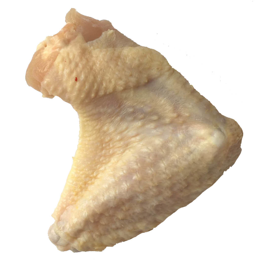 Ailes de poulet biologique