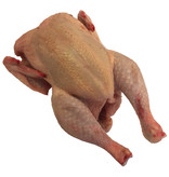 Poulet entier bio