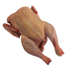 Poulet entier biologique