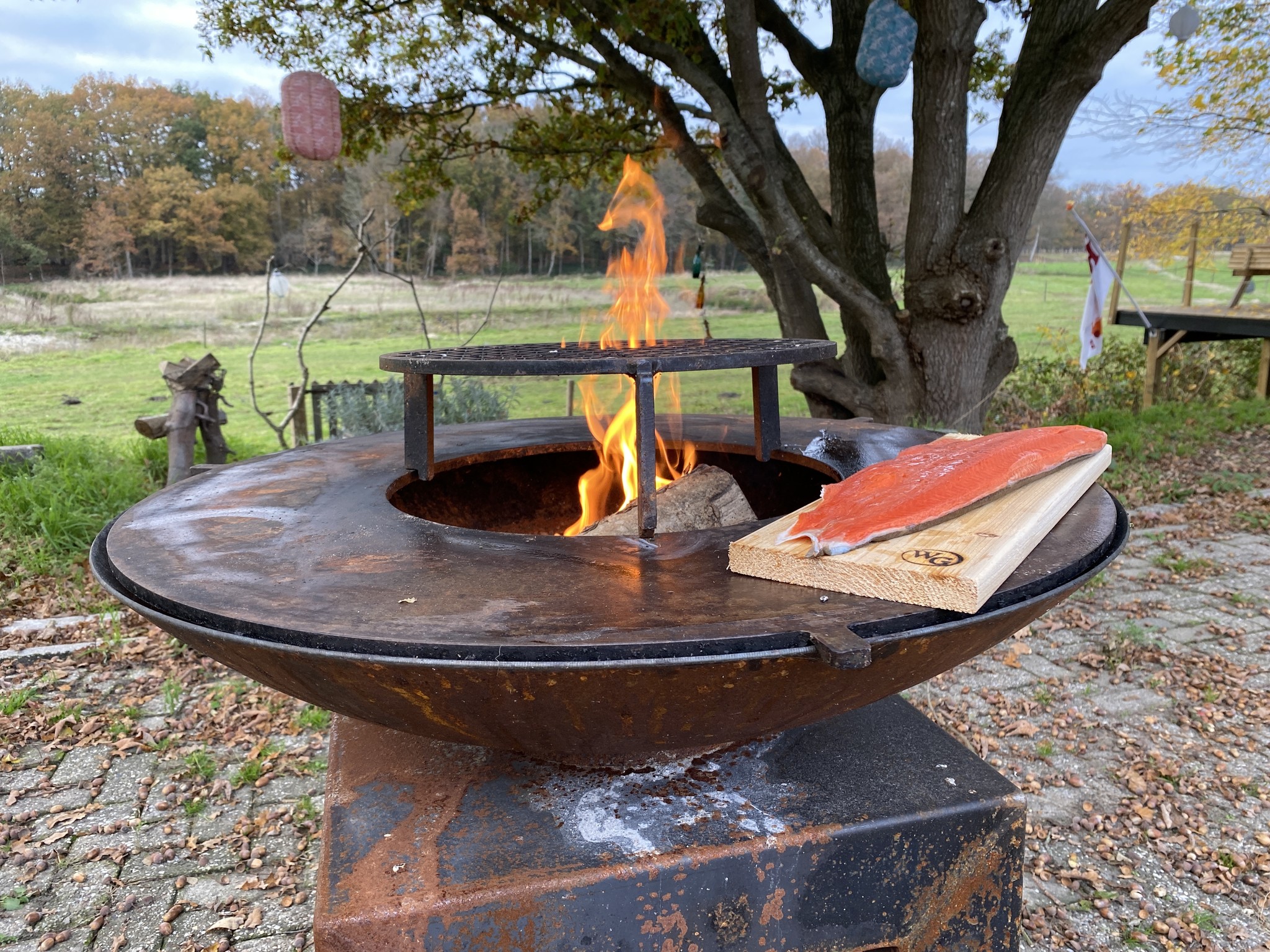 Zijde wilde zalm Sockeye en Cedarrookplank