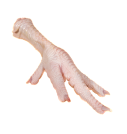 Organic chicken legs