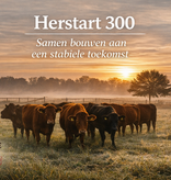 Herstart 300 – €1500 tegoedpakket