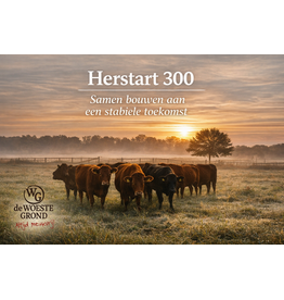 Restart 300 – €2500 credit package