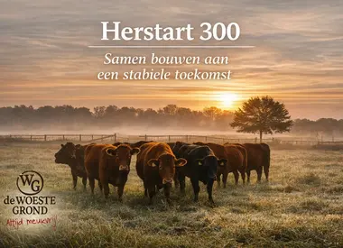Restart 300 – Wspólne budowanie ciągłości