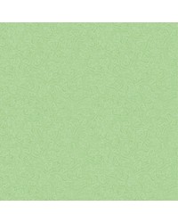 Napperon Airlaid Lias Pistache 80x80cm, 65 gram bestellen Napperon Airlaid Lias Pistache 80x80cm, 65 gram bestellen