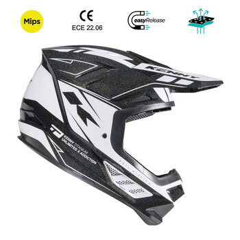 Titanium Graphic Helmet Chameleon Black