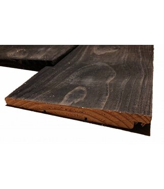 Houthandel Dronten Douglas zweeds rabat zwart geimp 11/24x195mm