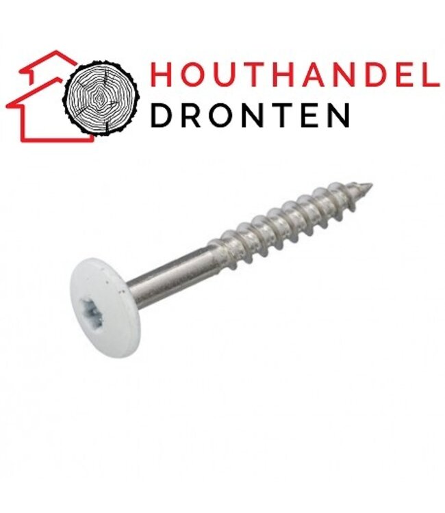 Trespaschroef 4.8x38 RAL 9010
