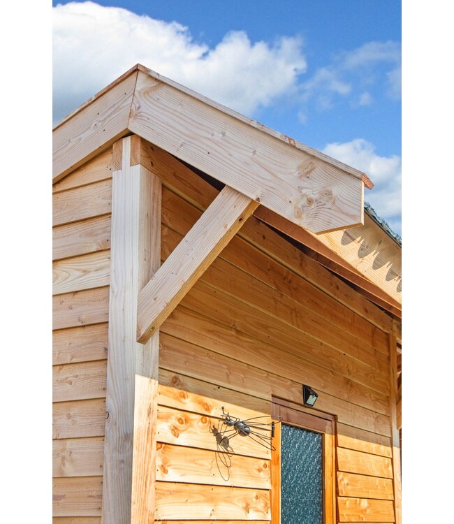 Tuindeco  DHZ Kapschuur Markelo 600x400x312cm