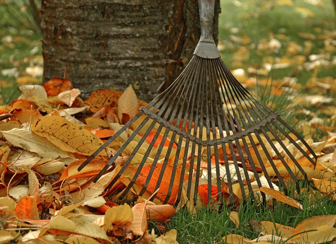 Tuin winterklaar maken