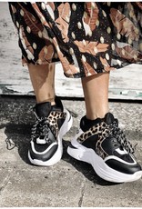 Sergio todzi LEO SNEAKERS