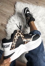 Sergio todzi LEO SNEAKERS