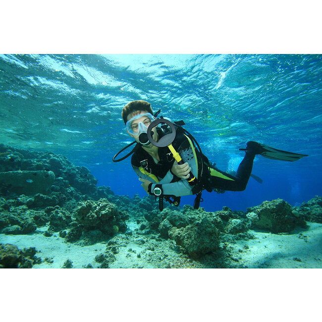 Nokta Nokta Makro PulsDive Geel