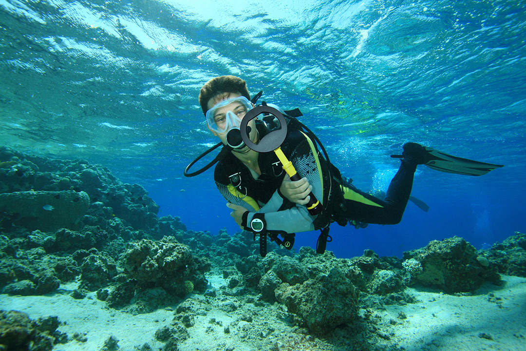 Nokta Nokta Makro PulsDive Geel