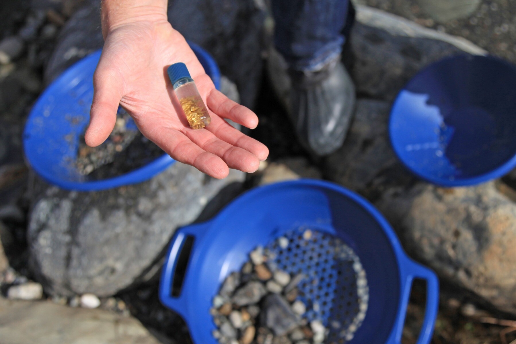 Minelab Minelab Pro  Gold  Goudpannenset