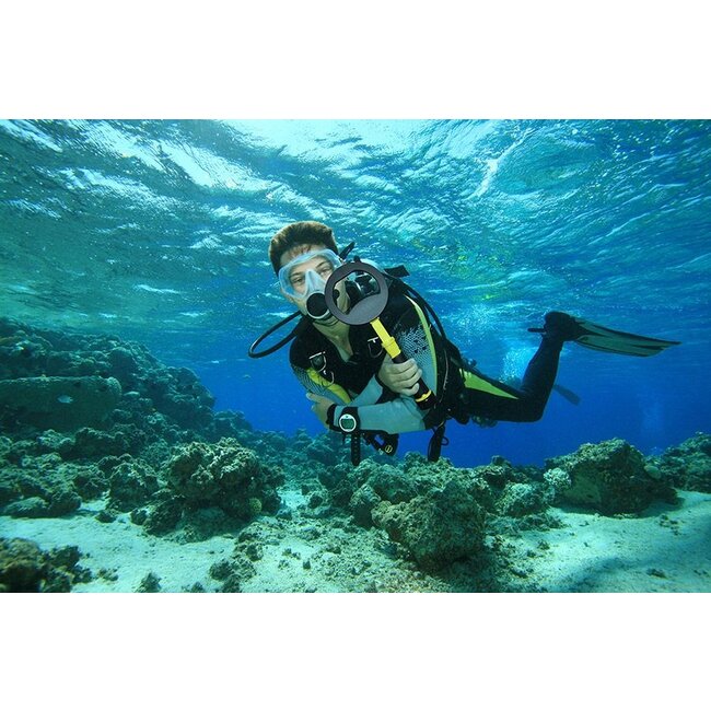 Nokta Nokta PulseDive mit 20 cm Suchspule, Gelb