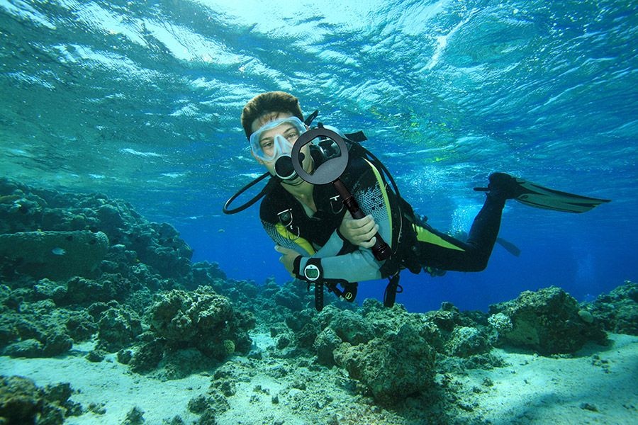 Nokta Nokta PulseDive met 20 cm zoekspoel Zwart