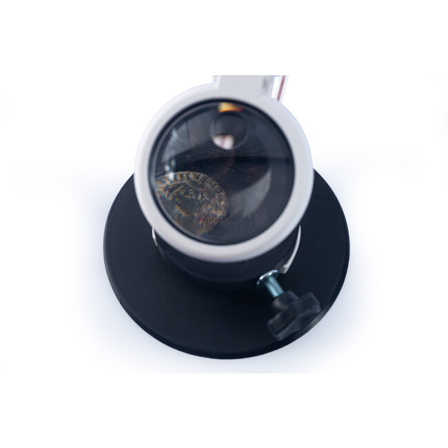 Detect Metaaldetectors Detect Vergrößerungsglas mit Ständer