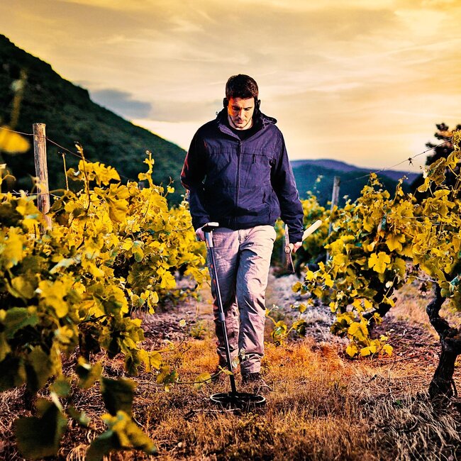 XP Metaaldetectors XP Deus 2 WS6 ST 28FMF Mit RC