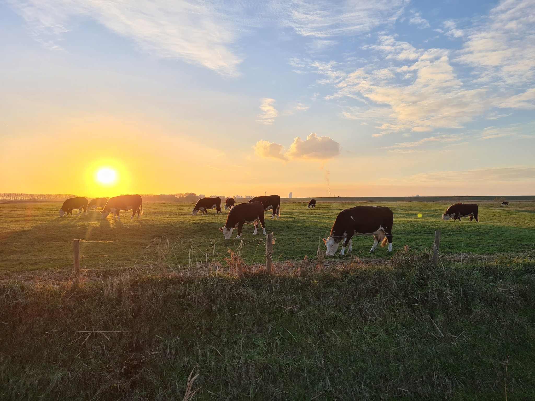 Natuurrunderen