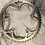 Campagnolo Campagnolo 10 speed kettingwiel 53T weg EPS chainring Ultra Drive NOS