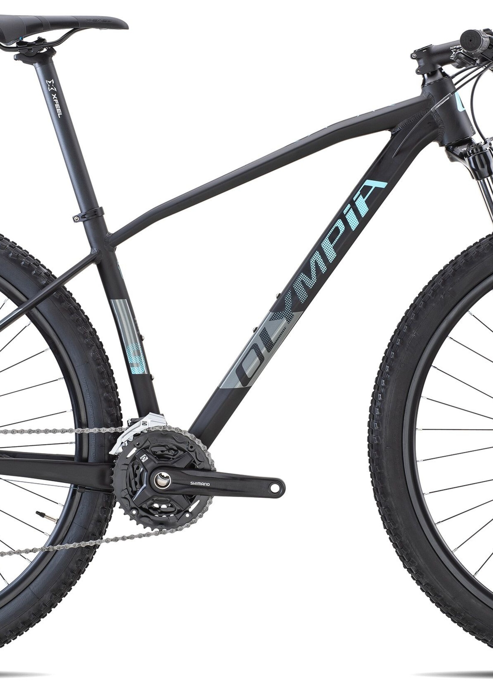 Olympia OLYMPIA DRAKE 29'er 2021 hardtail