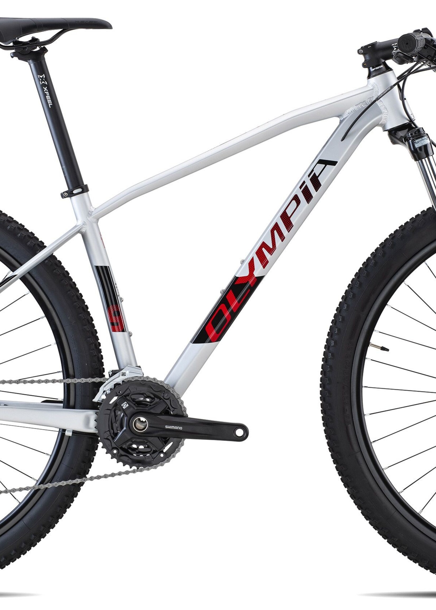 Olympia OLYMPIA DRAKE 29'er 2021 hardtail