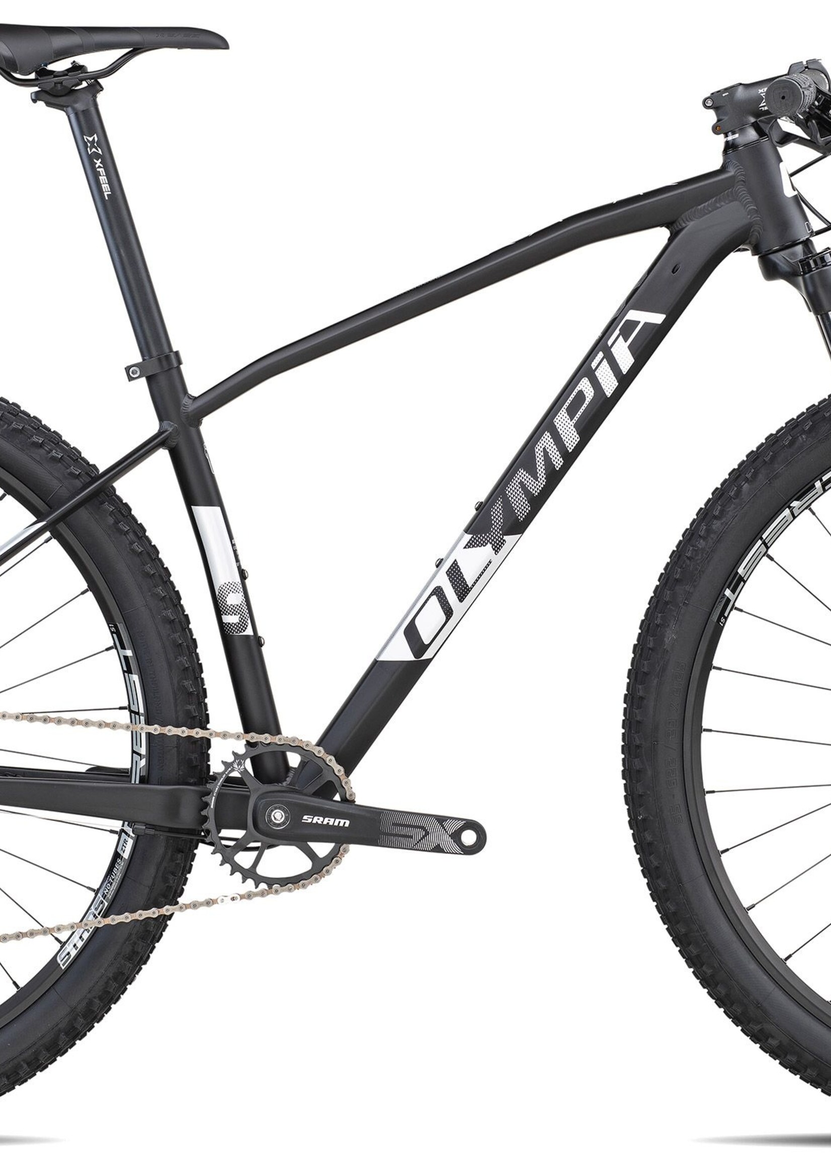 Olympia OLYMPIA DRAKE 29'er 2021 hardtail