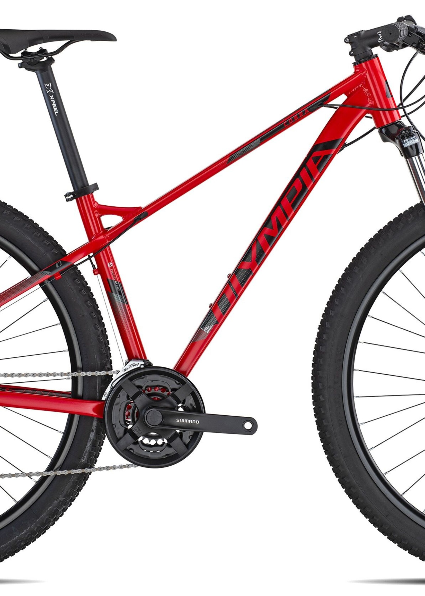 Olympia OLYMPIA COBRA 29'er 2021 hardtail