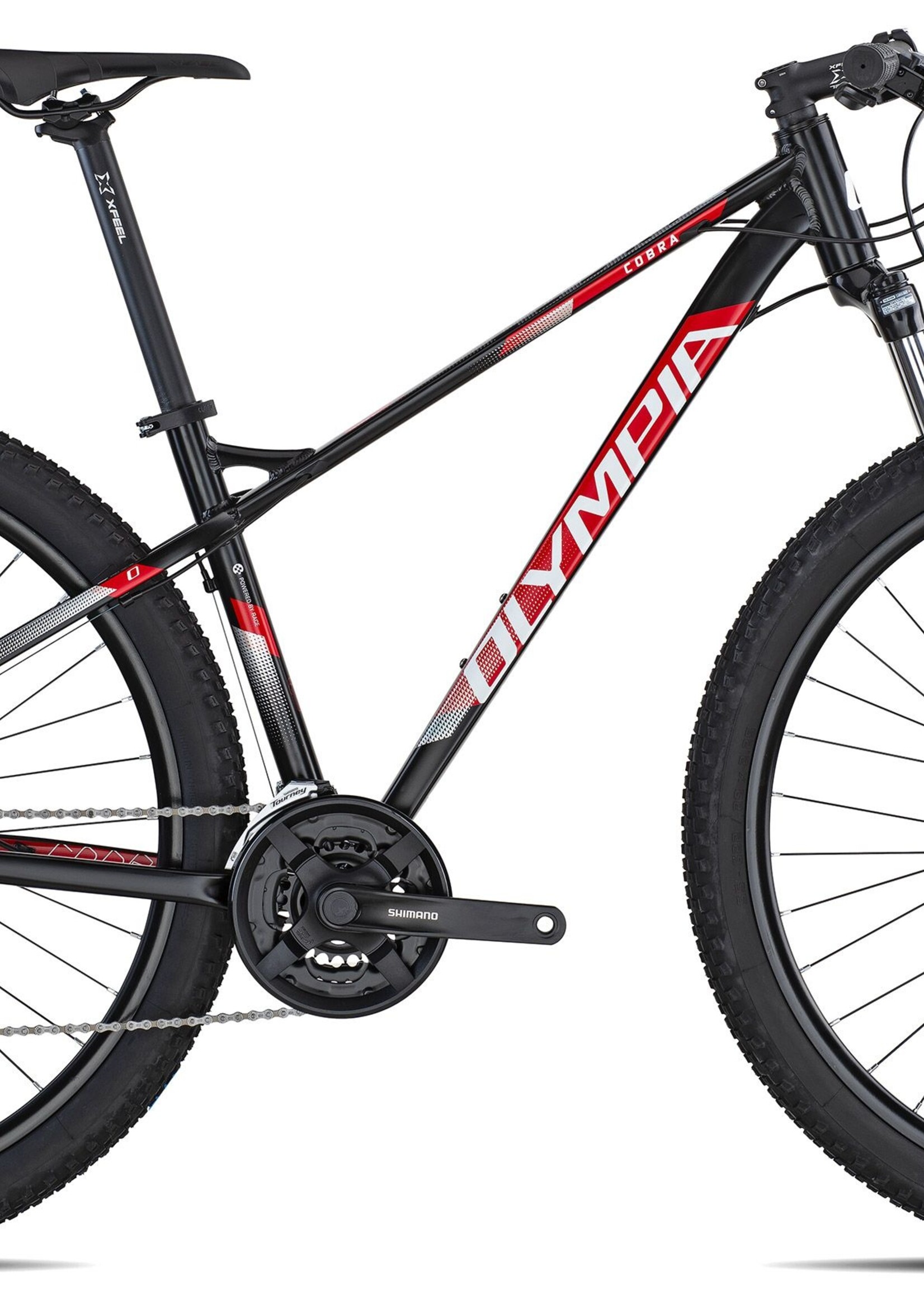 Olympia OLYMPIA COBRA 29'er 2021 hardtail