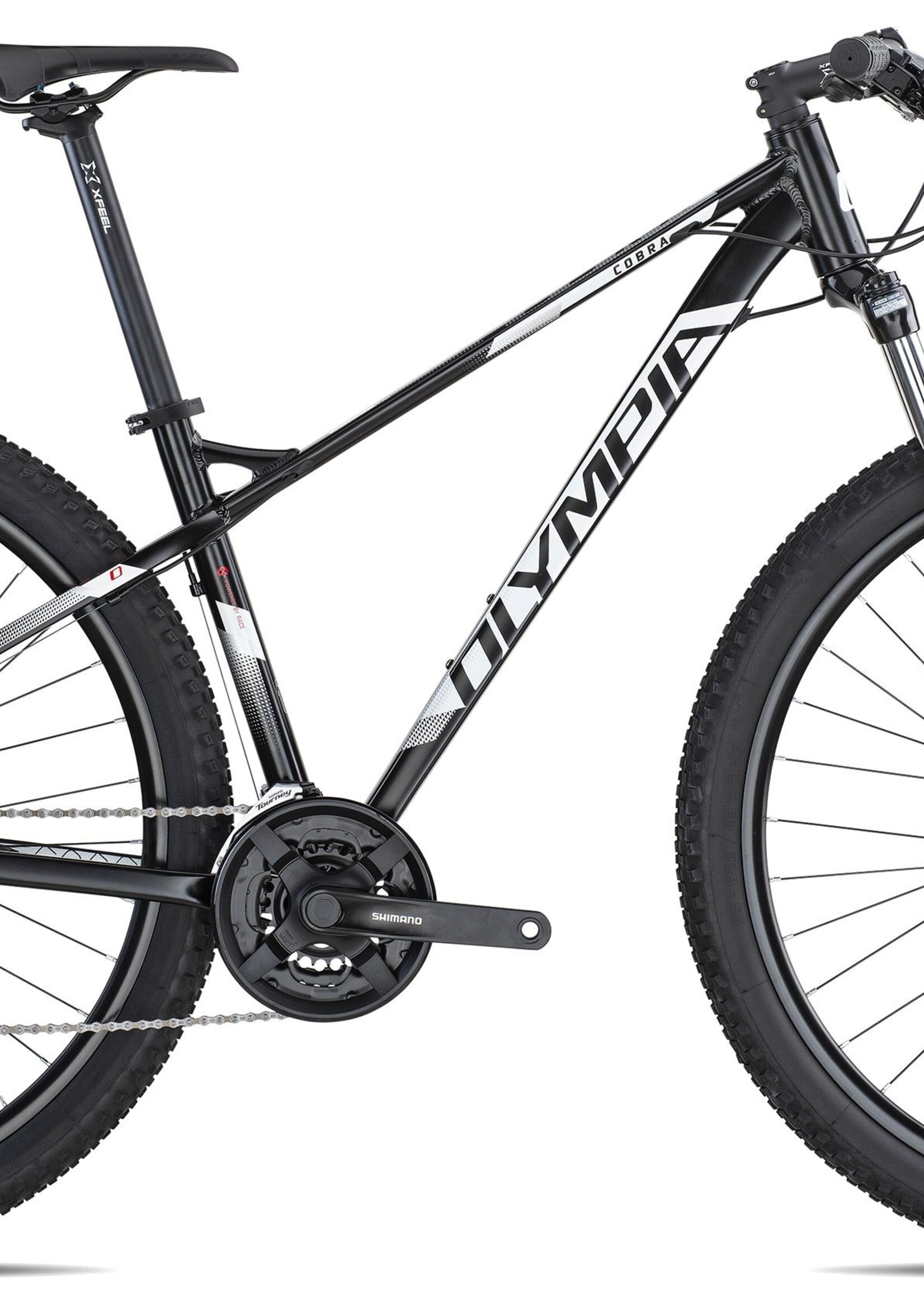 Olympia OLYMPIA COBRA 29'er 2021 hardtail