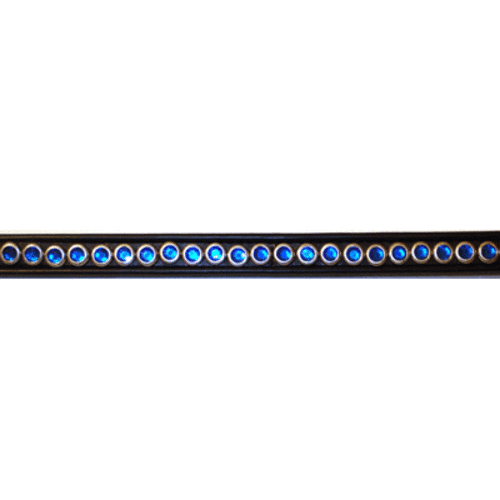 H. Bammens Frontriem 'Blue Gems' H. Bammens Frontriem 'Blue Gems'