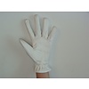 Washable Gloves